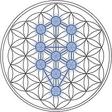 Flower of Life pattern overlaid with a Tree of Life diagram