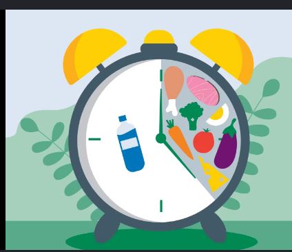 Intermittent fasting clock with water and whole foods for 14-day fasting training