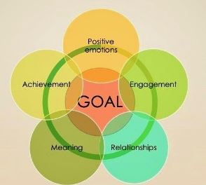 Motivation and Coaching Lectures — group and individual coaching sessions